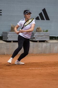 Bild 480 - BL Club an der Alster - Blau Weiss Berlin : Ergebnis: 0:9